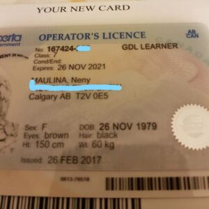 Buy Alberta Driving License and ID Card