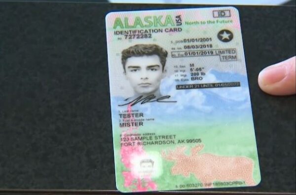 Buy Best Quality Alaska ID Online with worldwide delivery