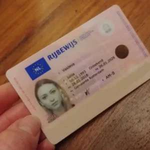Buy Dutch Driver’s License