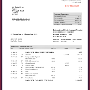 Buy the Real Looking Bank Statements