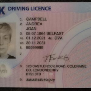 Buy Irish Driver’s License