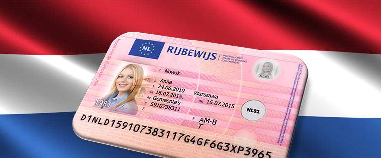 buy netherlands drivers license online